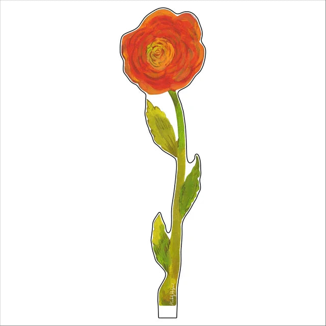 Orange ranunculus Flower