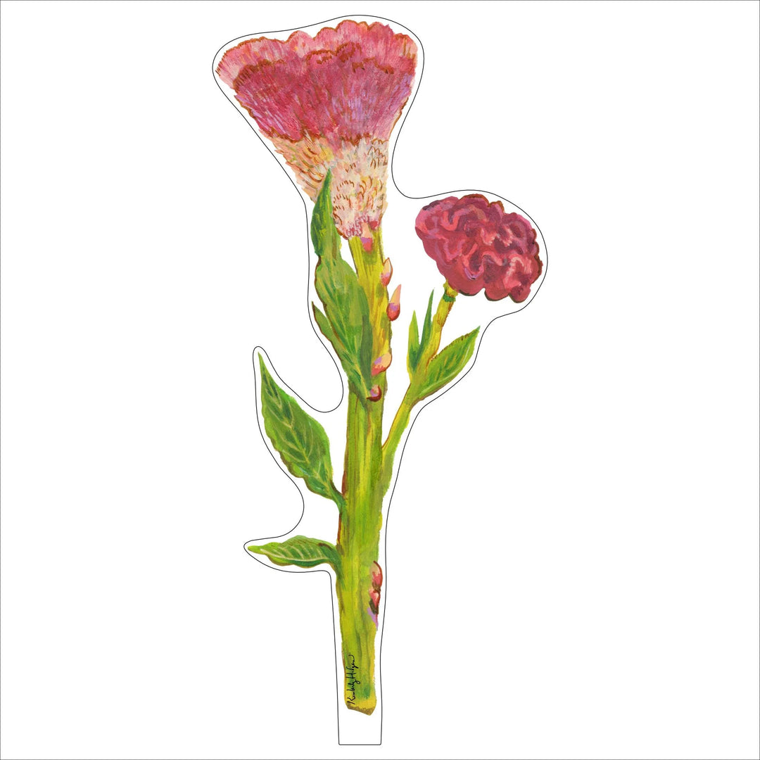 Double Cockscomb Flower