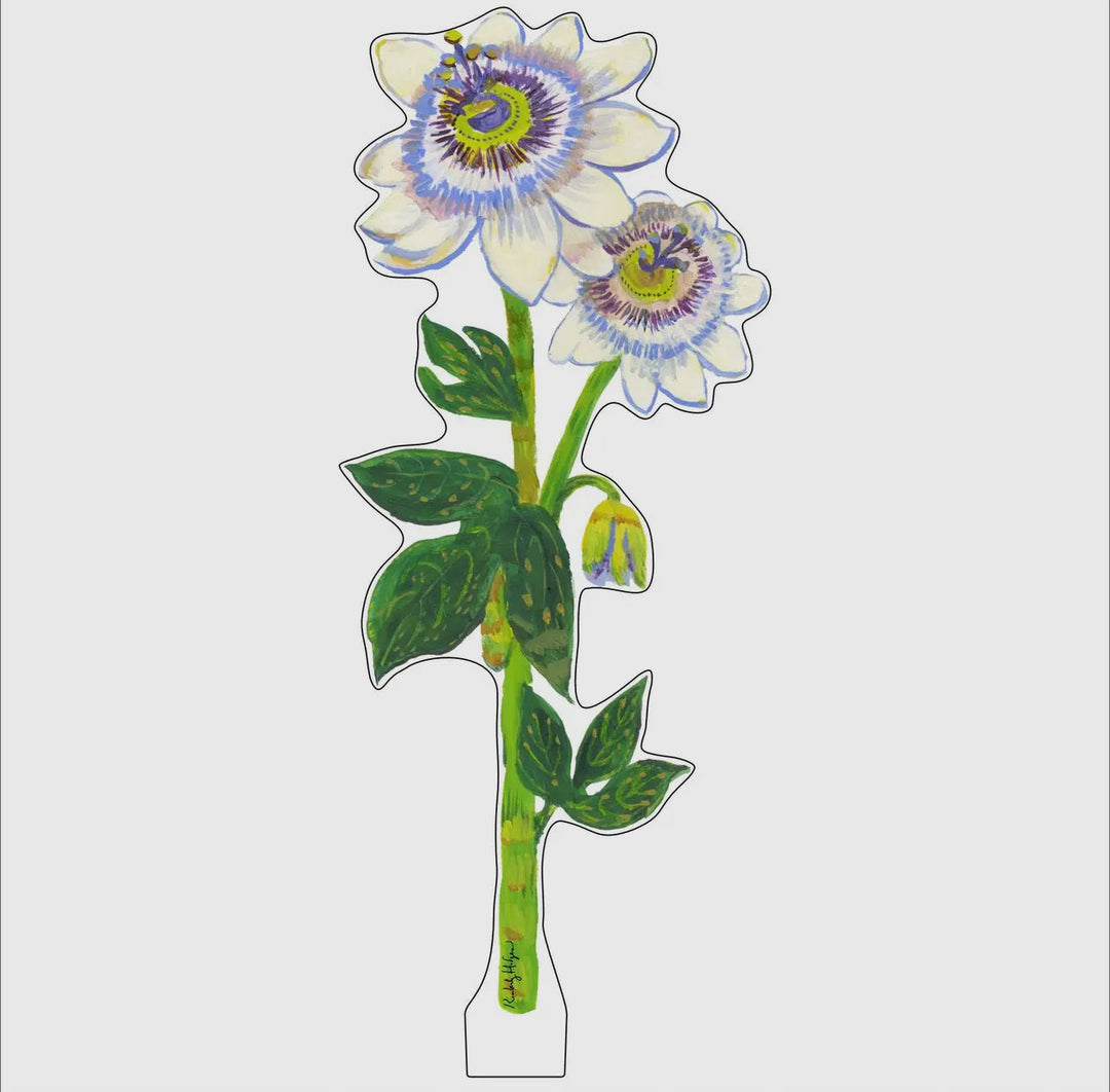 Large Passions Flower