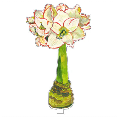 White Amaryllis Acrylic Flower