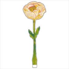 Cream Peony Acrylic