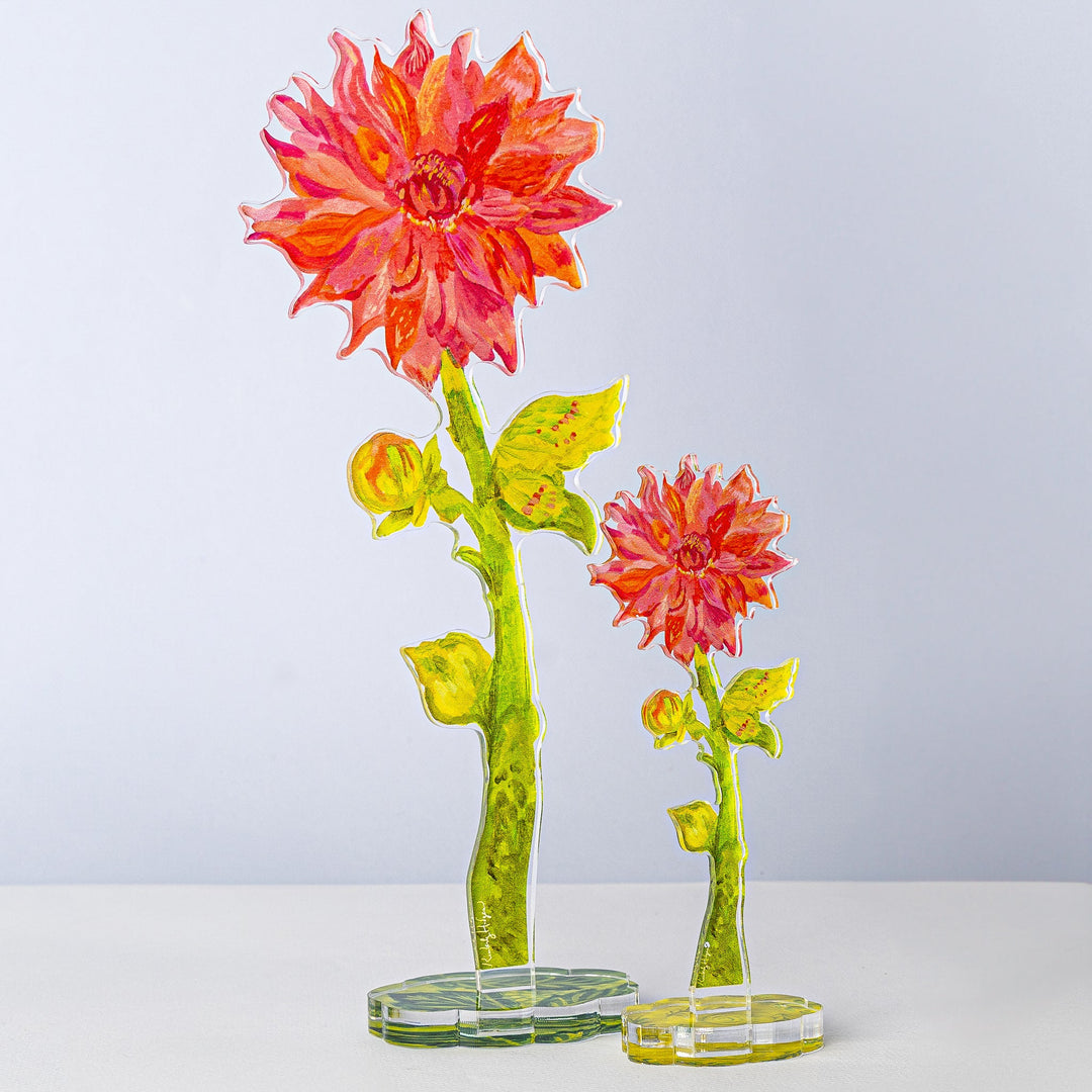 Sonic Bloom Dahlia