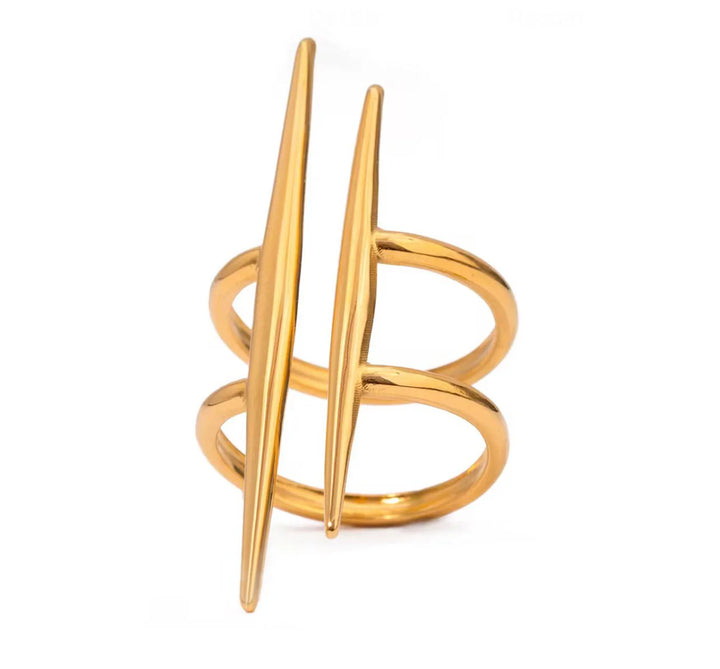 The Ledger Ring