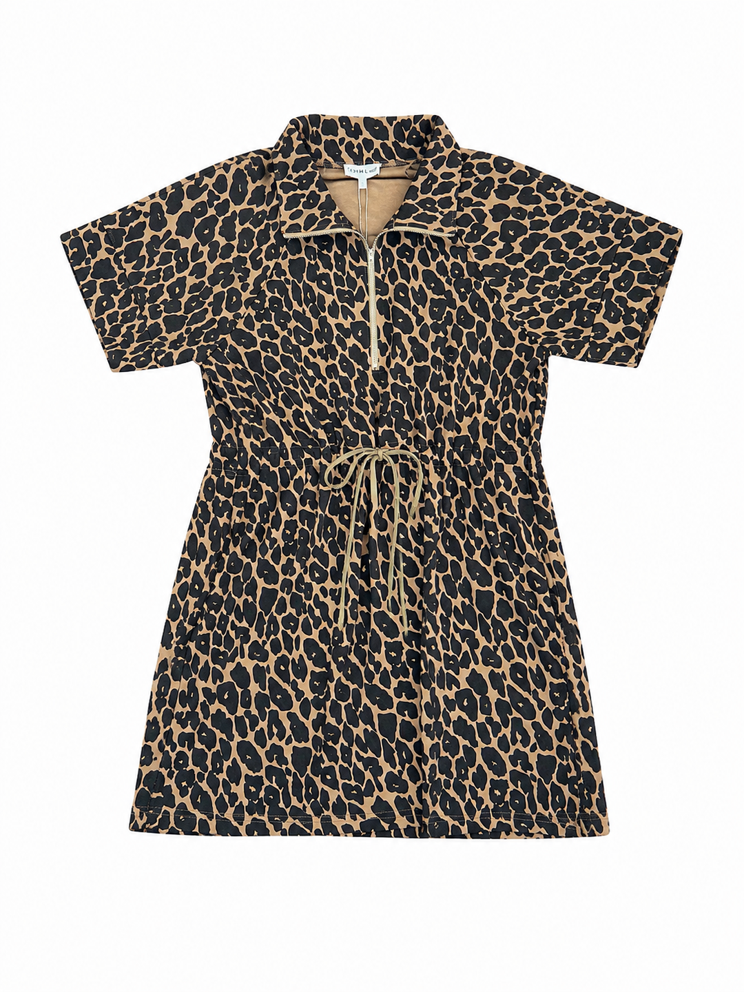 The Wild Side Leopard Dress