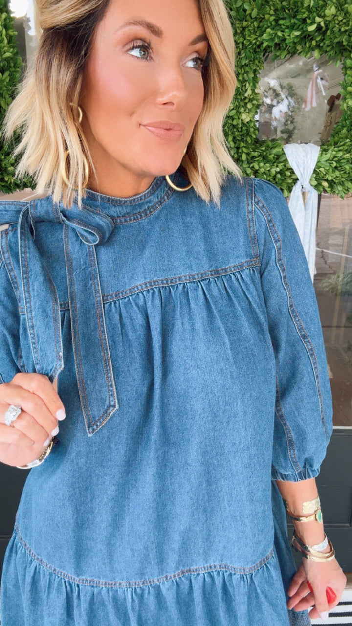 The Darla Denim Dress