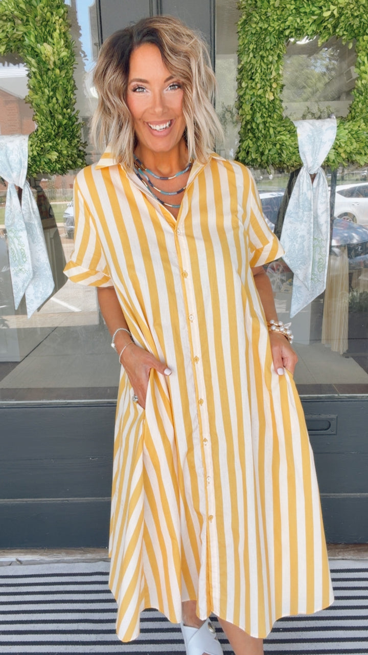 The Elodie Classic Shirt Dress