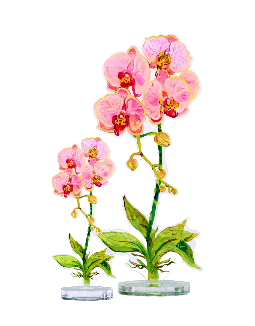 Coral Orchid Acrylic Floral/LG (Stand Sold Separately)