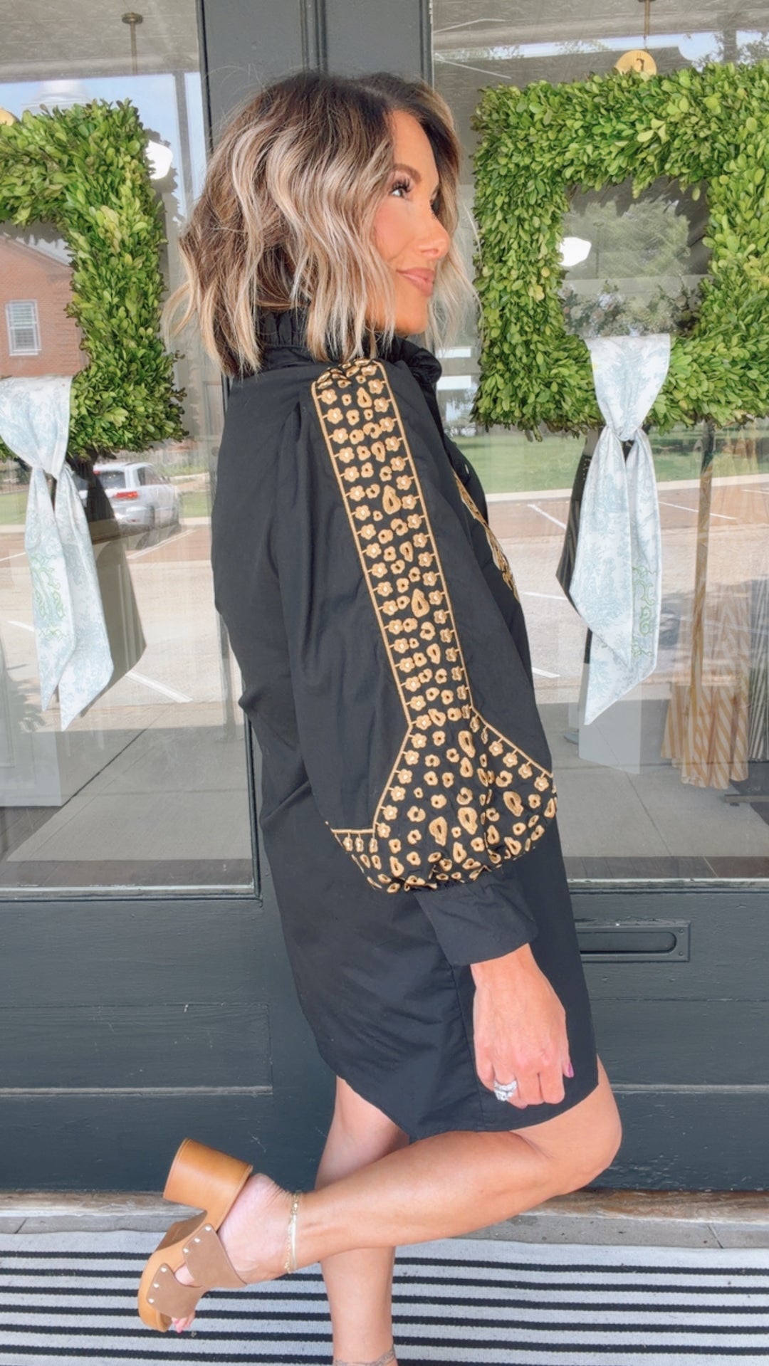The Charlotte Embroidered Dress