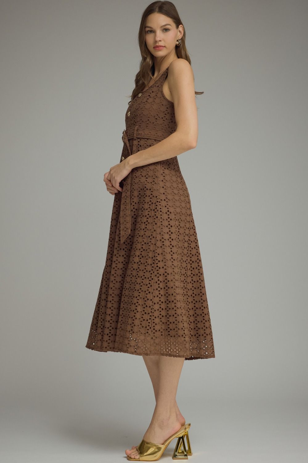 The Chestnut Charm Dress