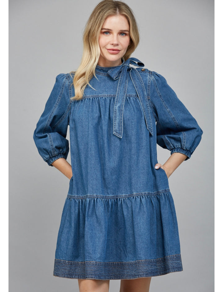 The Darla Denim Dress