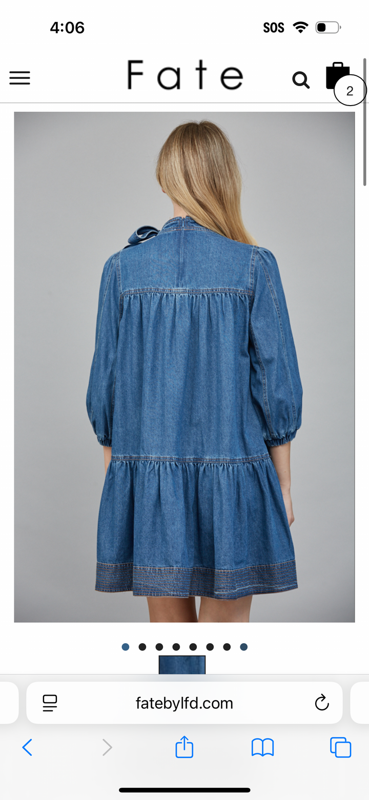 The Darla Denim Dress