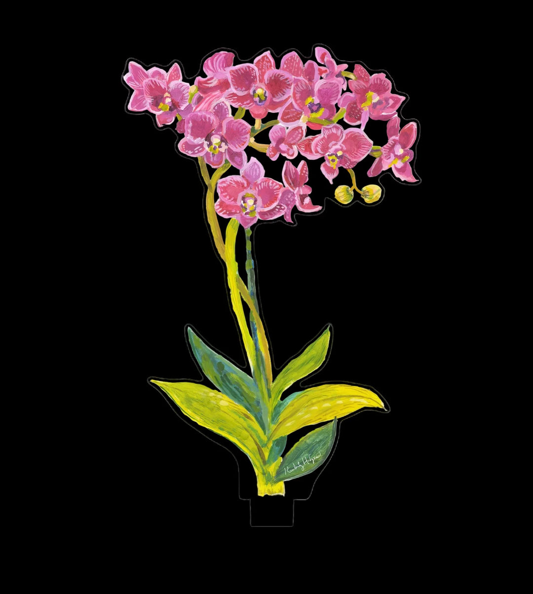 Aphrodite Orchid Acrylic Floral/LG (Stand Sold Separately)