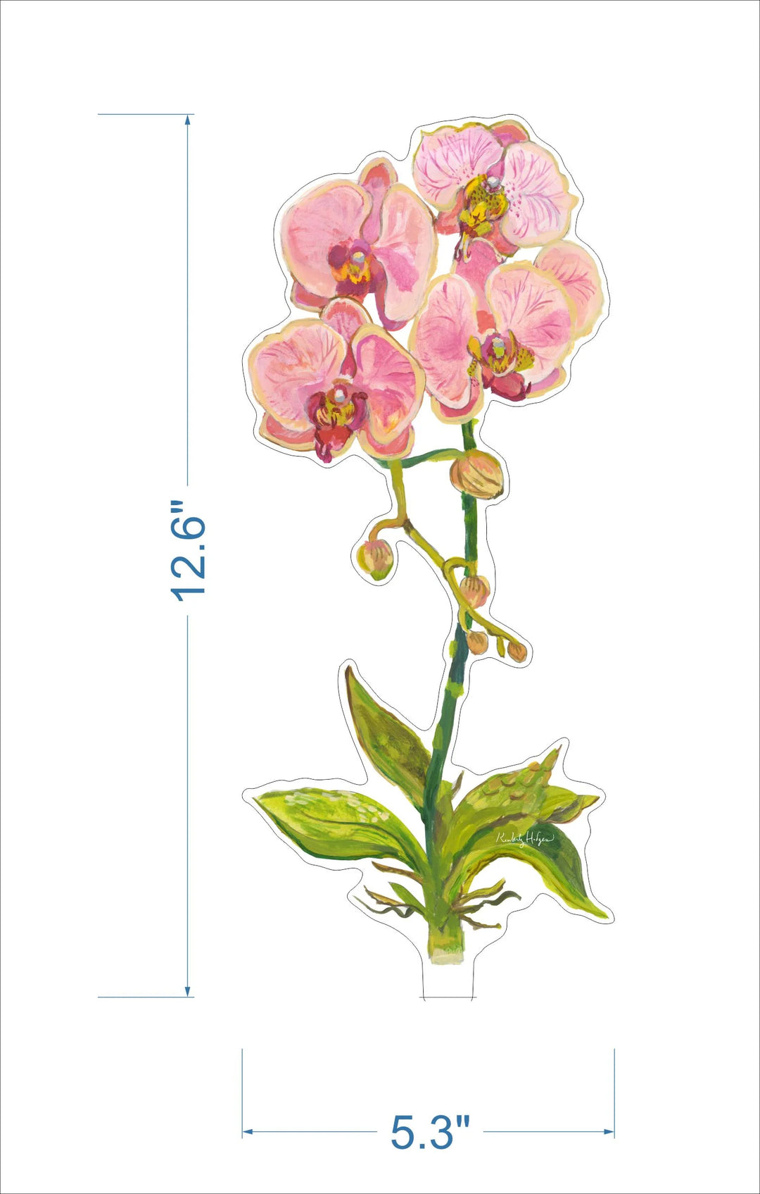 Coral Orchid Acrylic Floral/LG (Stand Sold Separately)