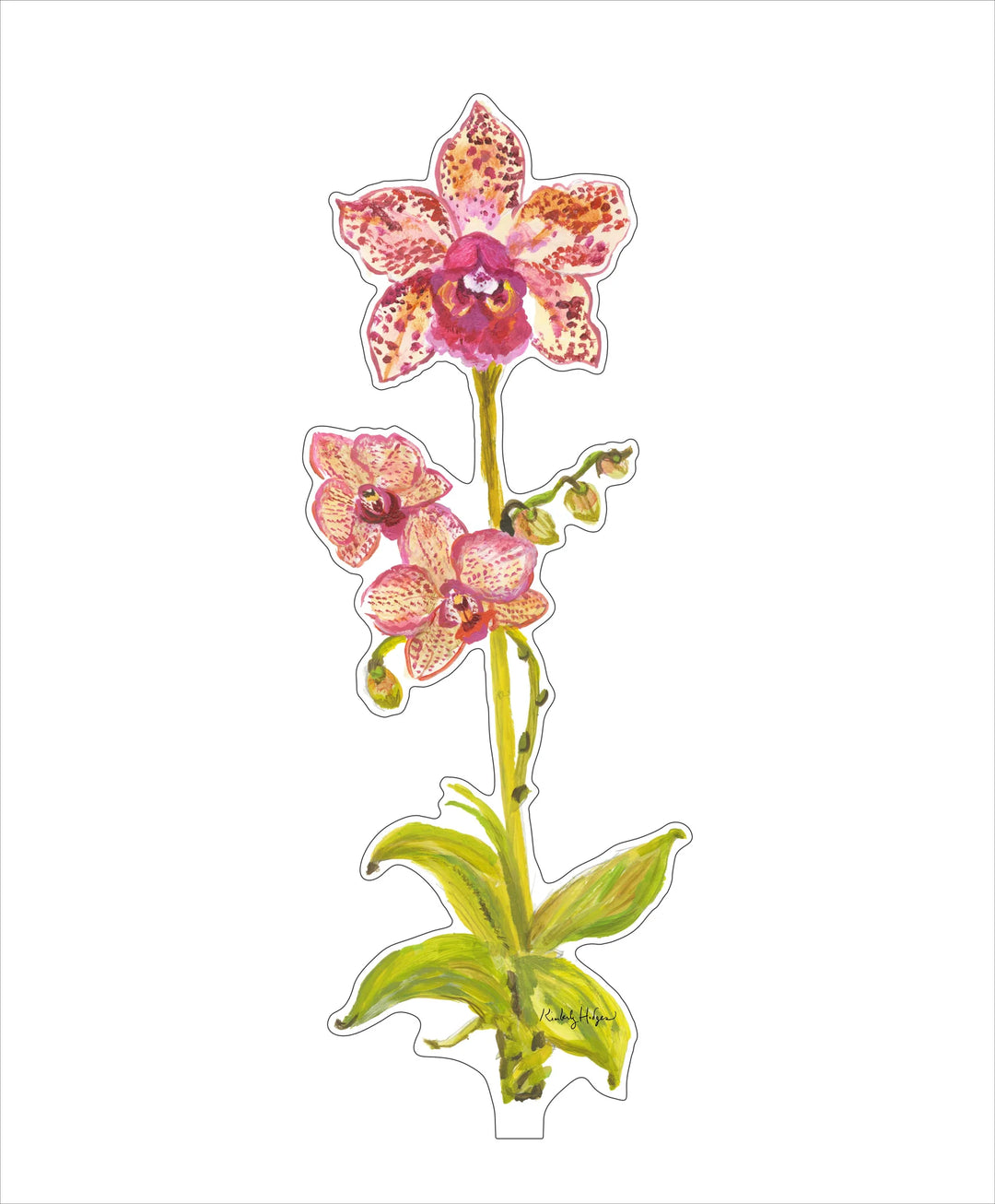 Leopard Orchid Acrylic Floral/Stand Sold Separately