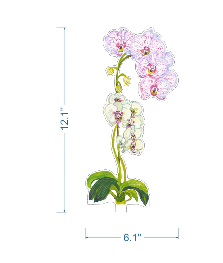 Pink Stripe Orchid Acrylic Floral/Stand Sold Separately