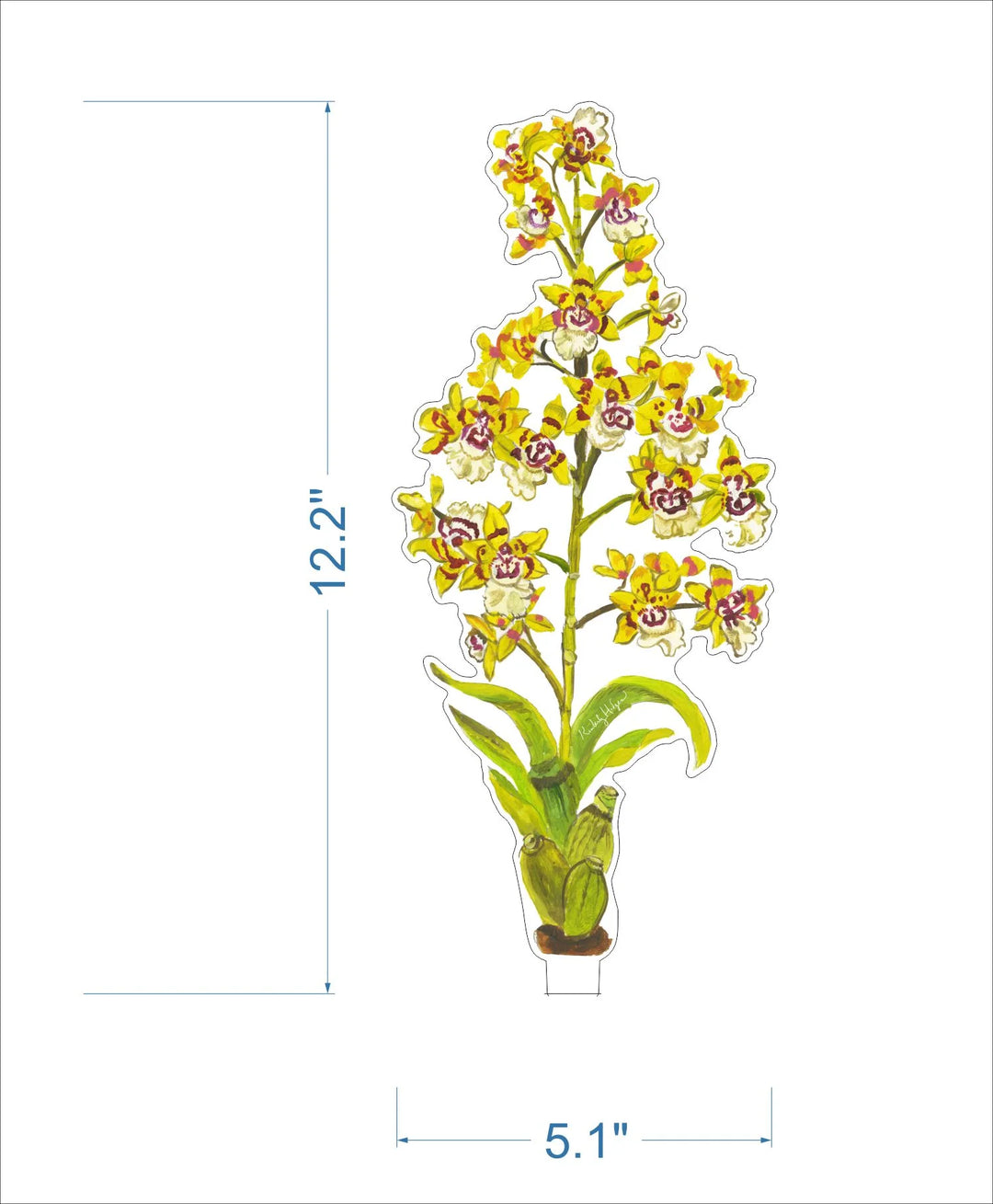 Yellow King Orchid Acrylic Floral/stand sold Separately
