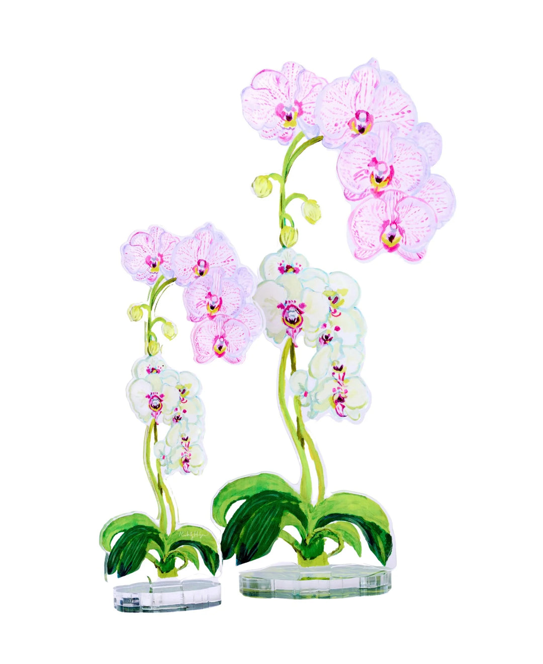 Pink Stripe Orchid Acrylic Floral/Stand Sold Separately