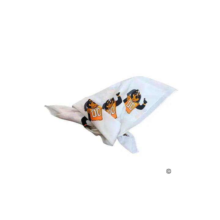 Smokey Bandana©