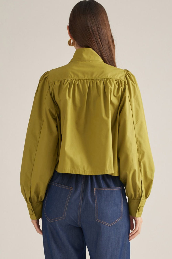 Back view of The Olive Edit Blouse