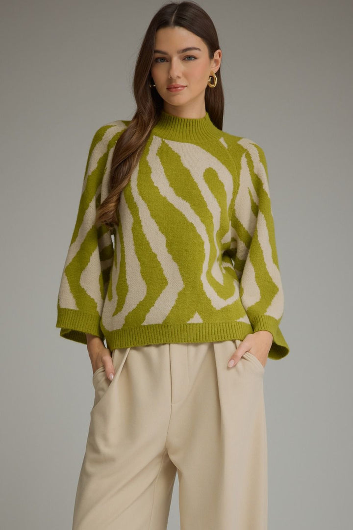 The Wild Side Knit Sweater front view